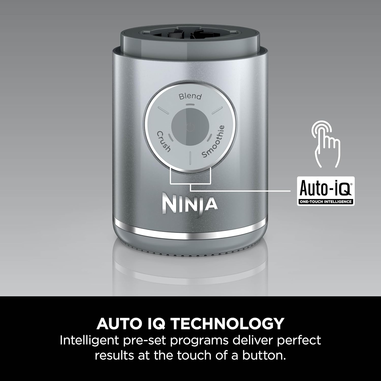 Ninja Blast Max Portable Blender